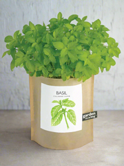 Garden In A Bag - Herbs