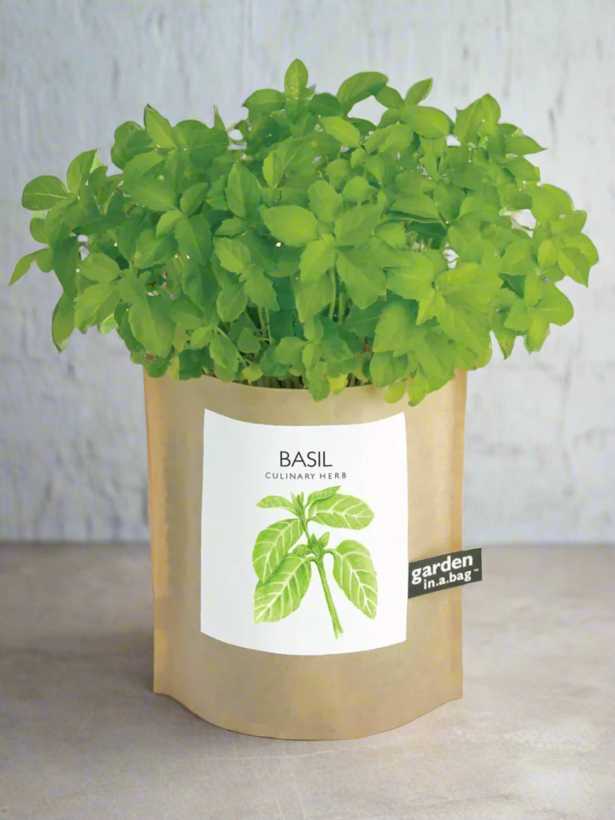 Garden In A Bag - Herbs