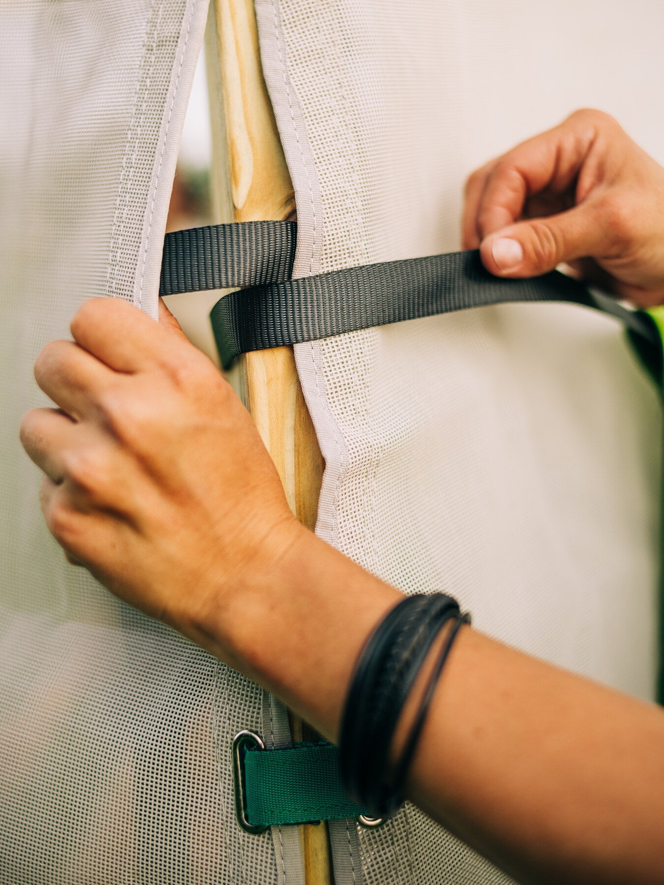 Bijou Bloom Hanging Planters