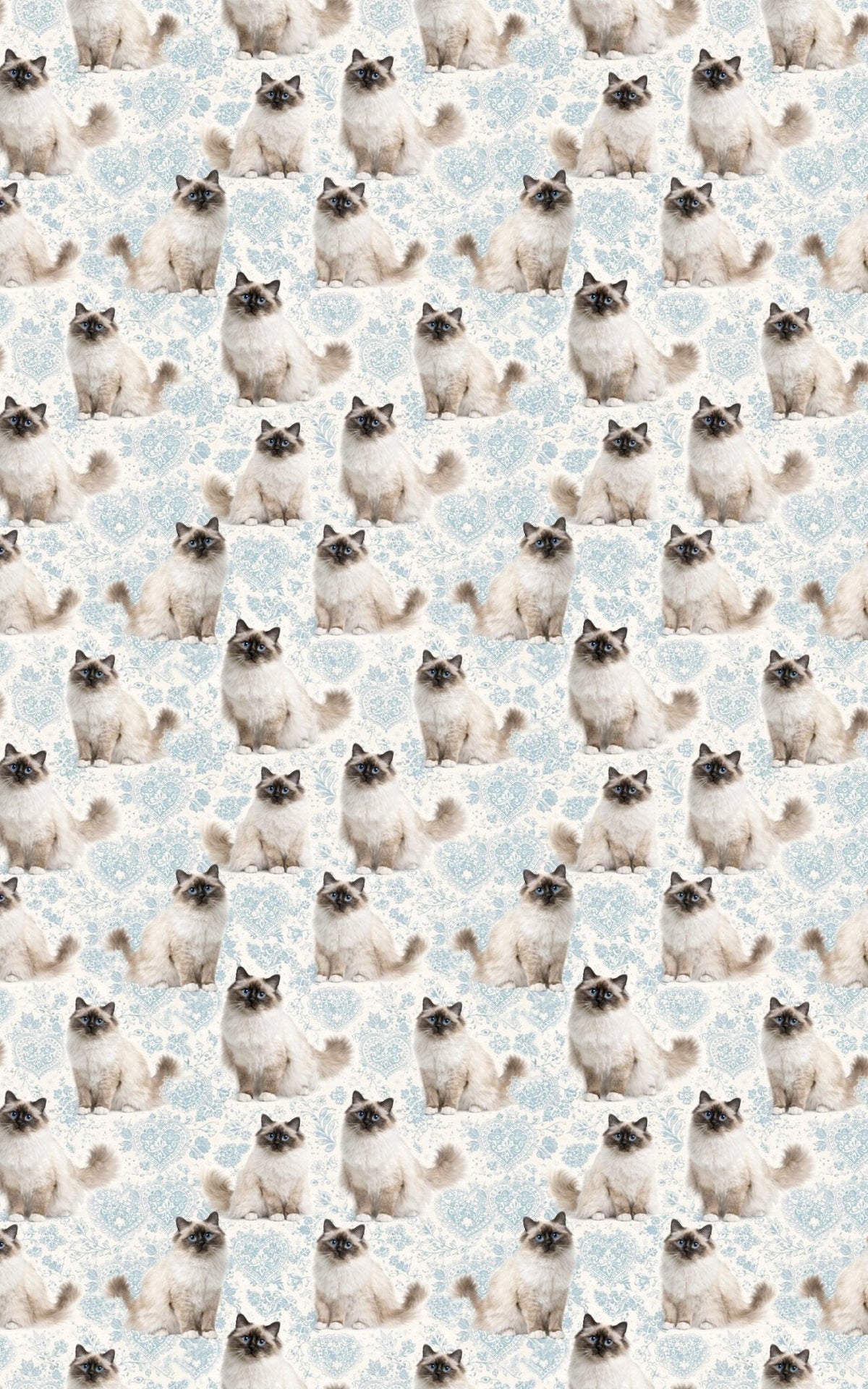 Birman Blue Elegance Wrapping Paper