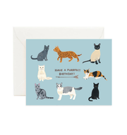 Birthday Cats