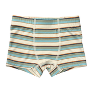 Boys Boxer In Blue Haze Multi Stripe