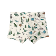 Boys Boxer In Dino Land