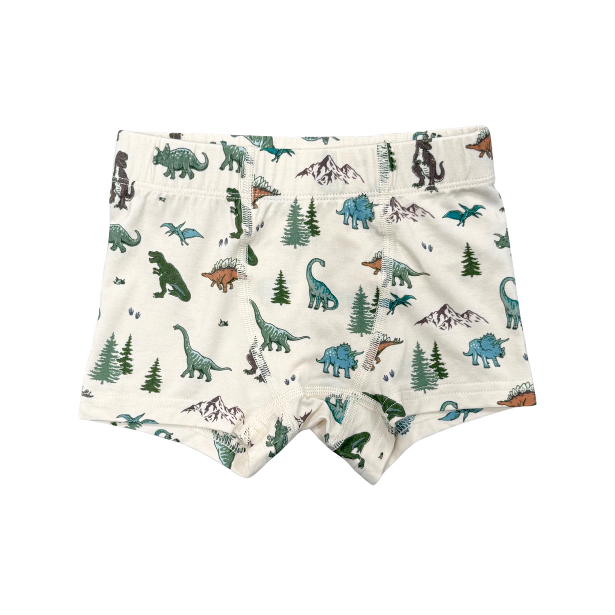 Boys Boxer In Dino Land