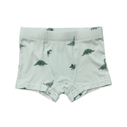 Boys Boxer In Dinosaur