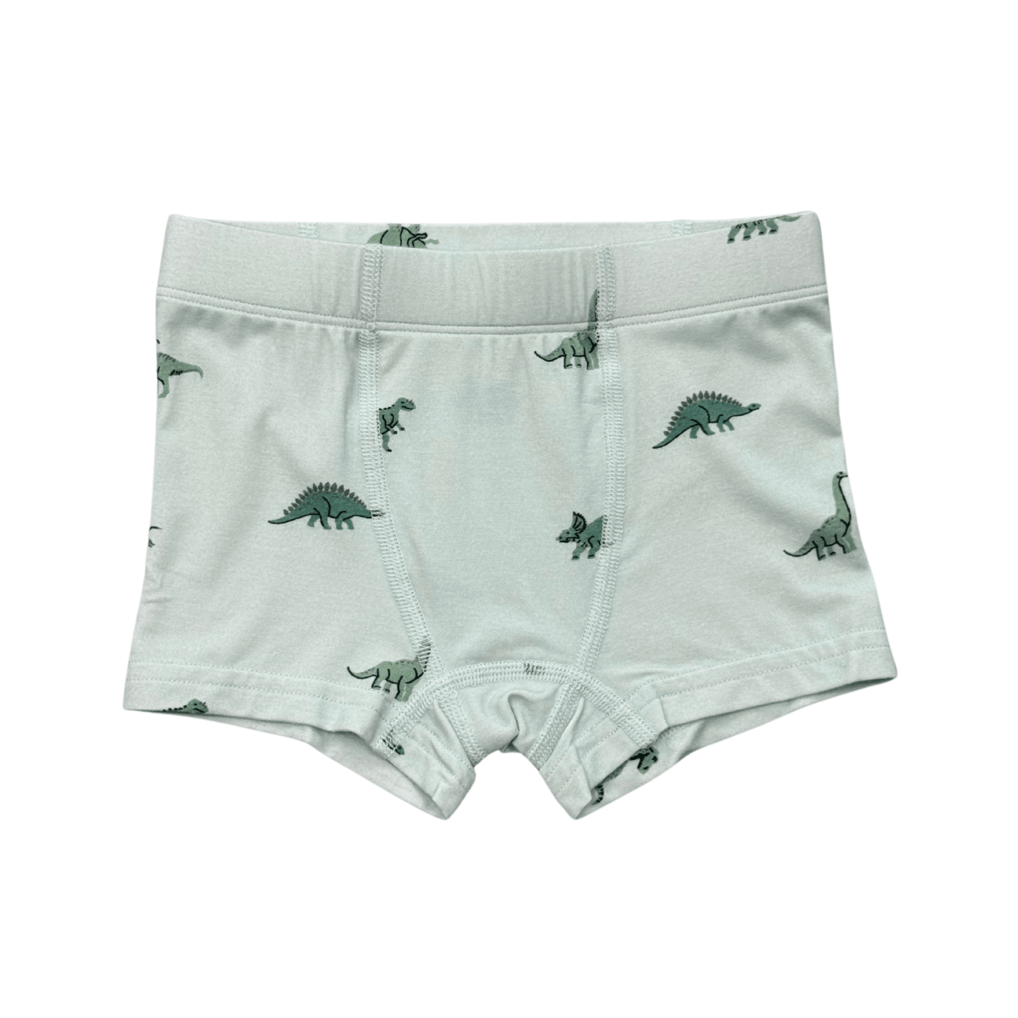 Boys Boxer In Dinosaur