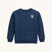 Boys' Sweatshirt In Dragon