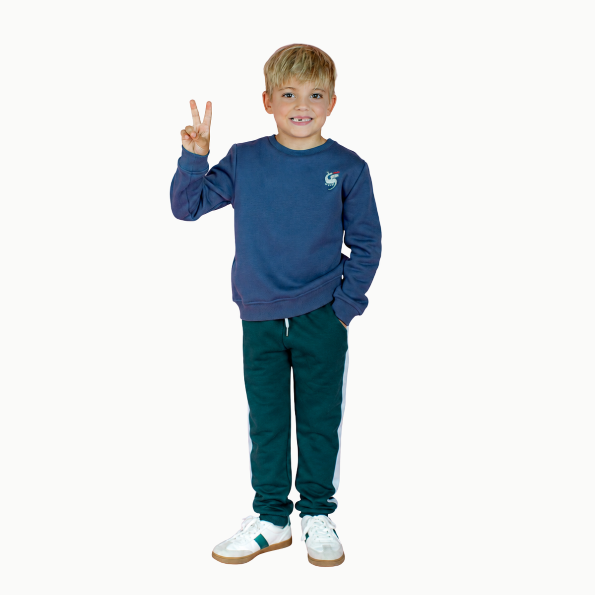 Boys' Sweatshirt In Dragon