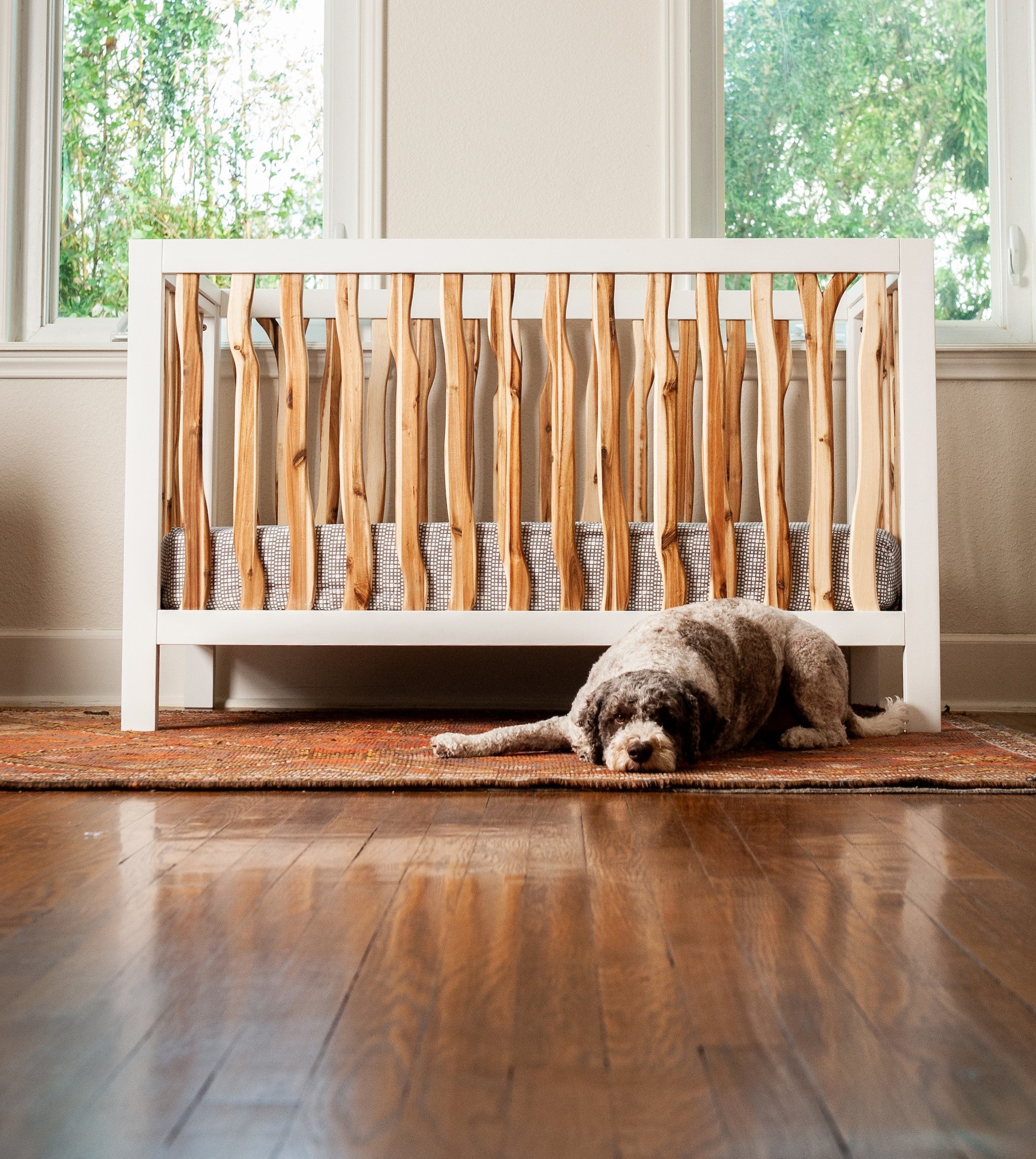 Branch Convertible Crib