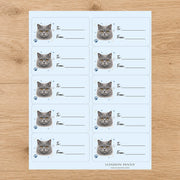 British Shorthair Pawprint Wishes Gift Tag Sticker Sheet