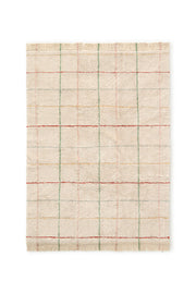 WASHABLE AREA RUG COLOR LINES