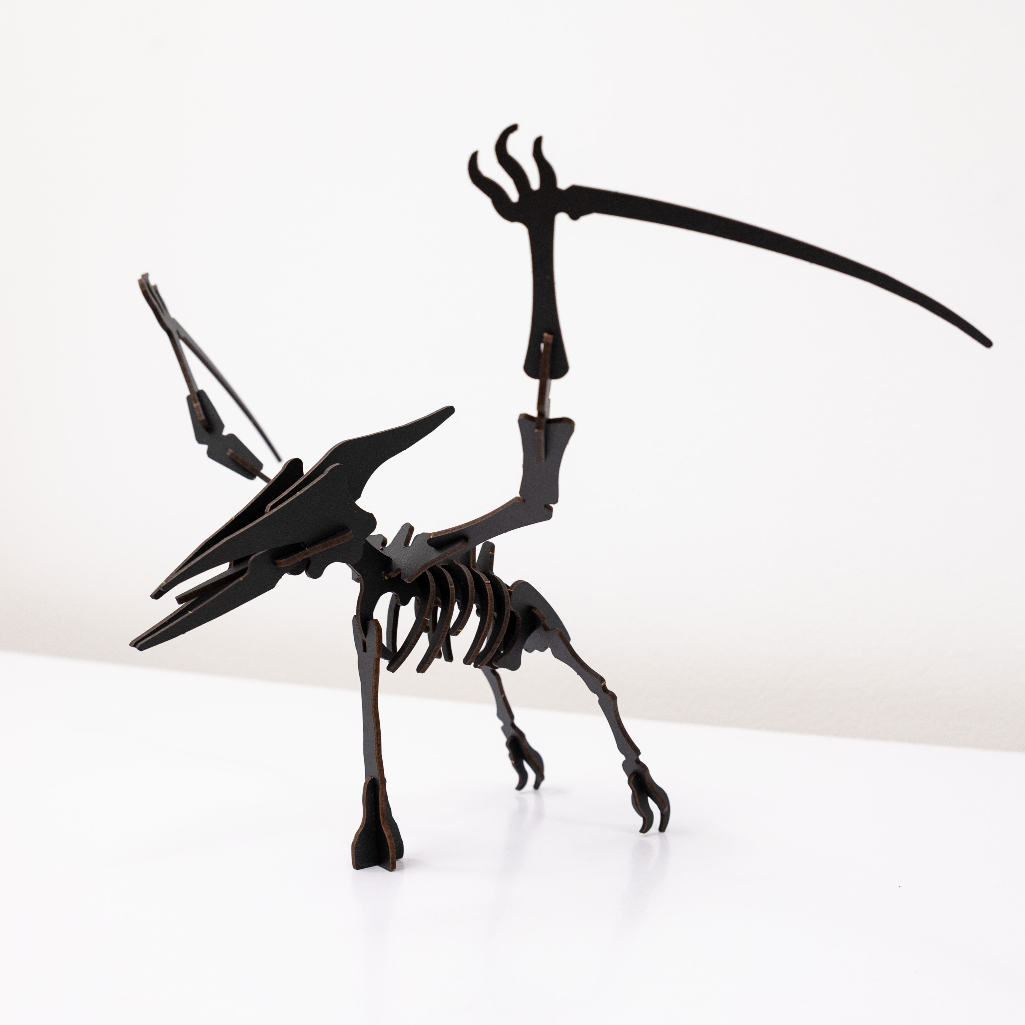 Black 3d Pterosaur Diy Kit