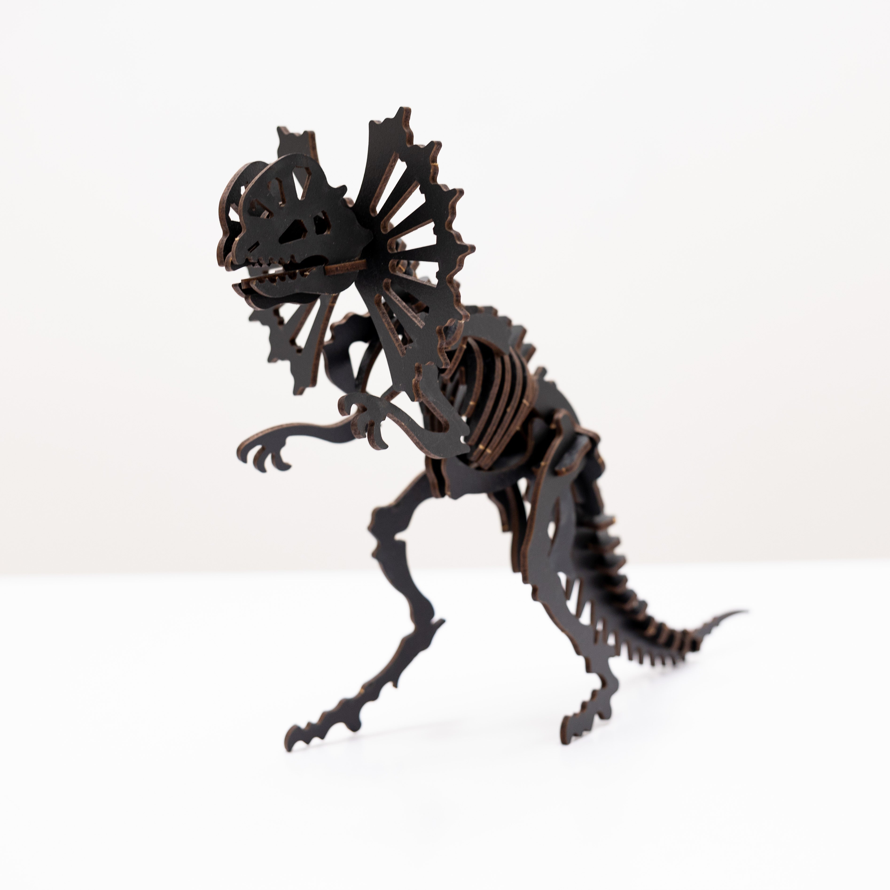Black 3d Dilophosaurus Diy Kit