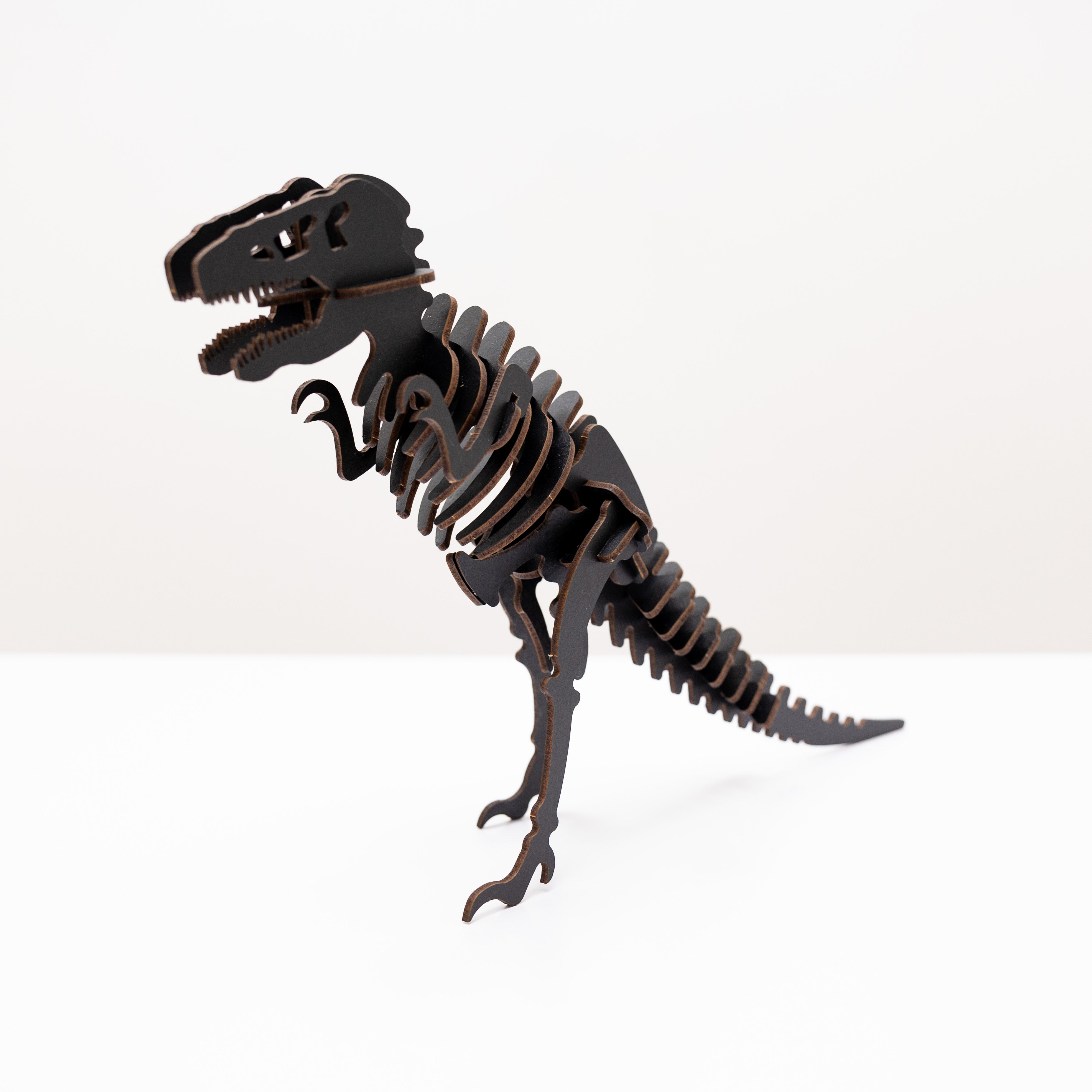 Black 3d Tyrannosaurus Rex #2  Diy Kit