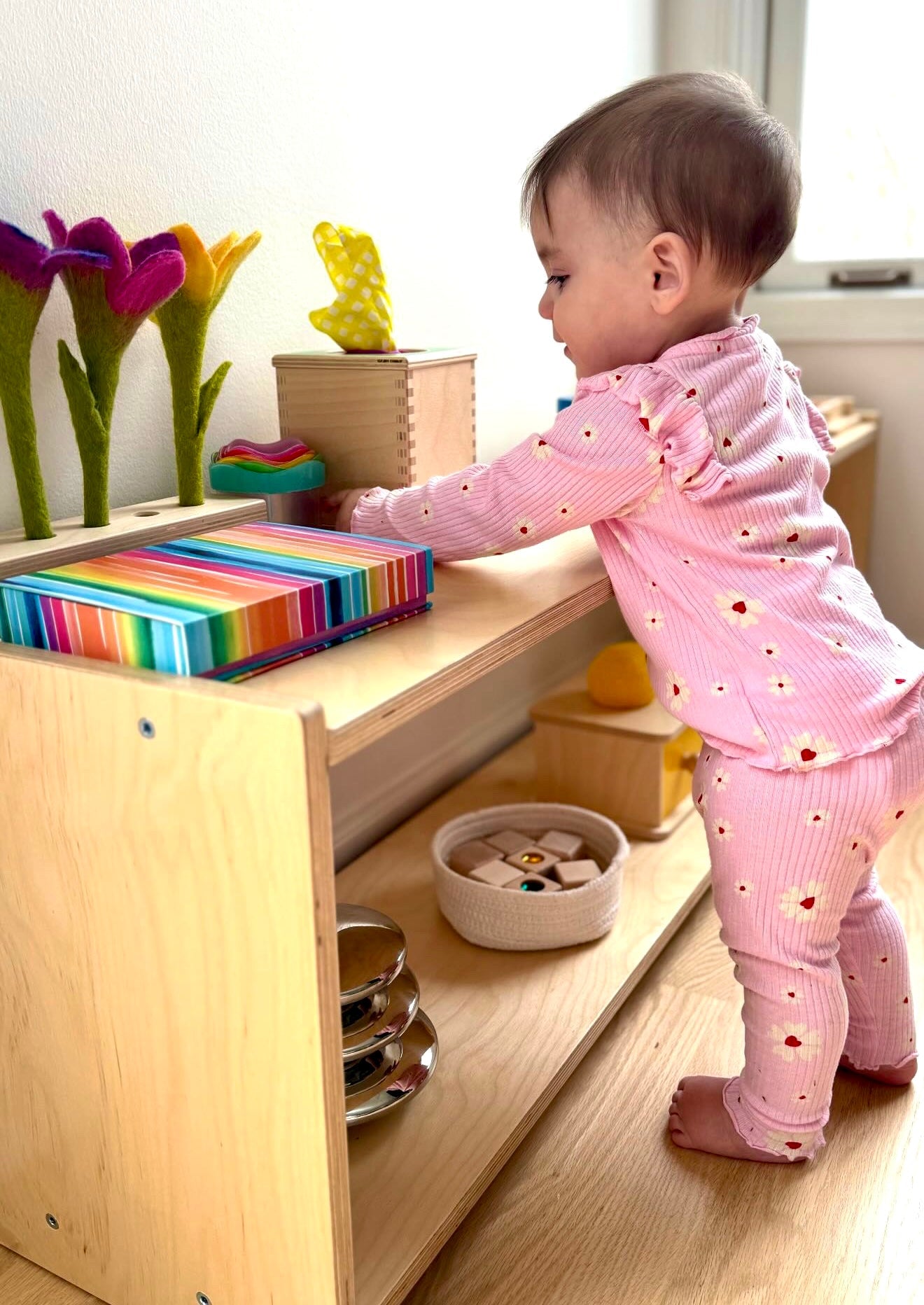 Montessori Infant Shelf