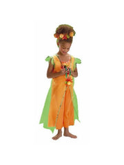 Child's Pumpkin Princess Costume