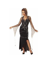 Adult Spider Goddess Witch Costume