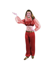 Child's Fashion Harem Dancer Costume