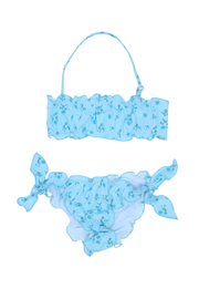 Carolina Blue Petal