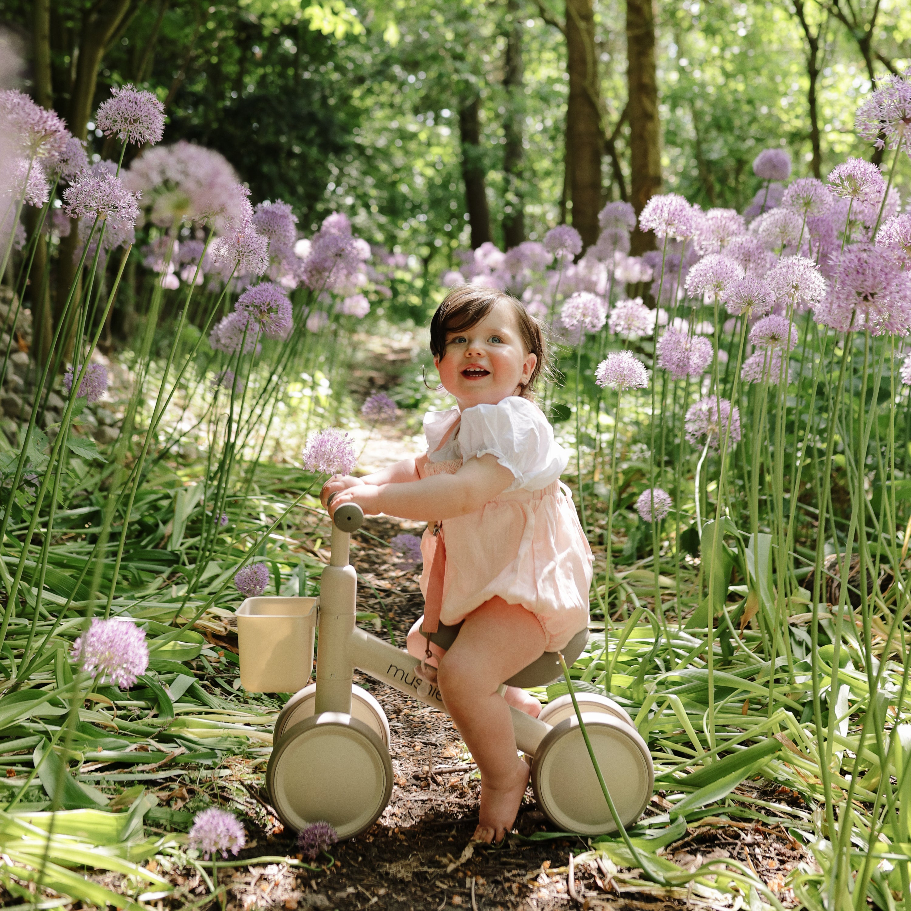 Mini Toddler Bike