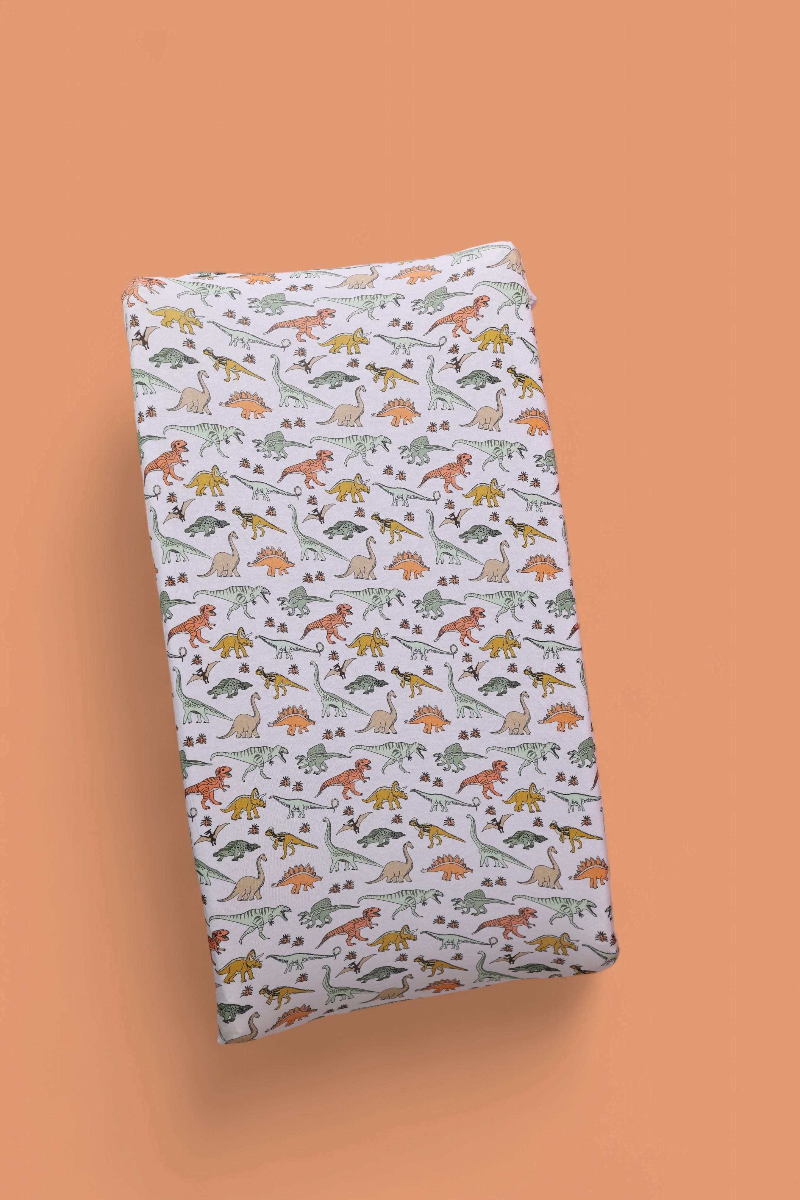 Dinosaur Dream Changing Pad