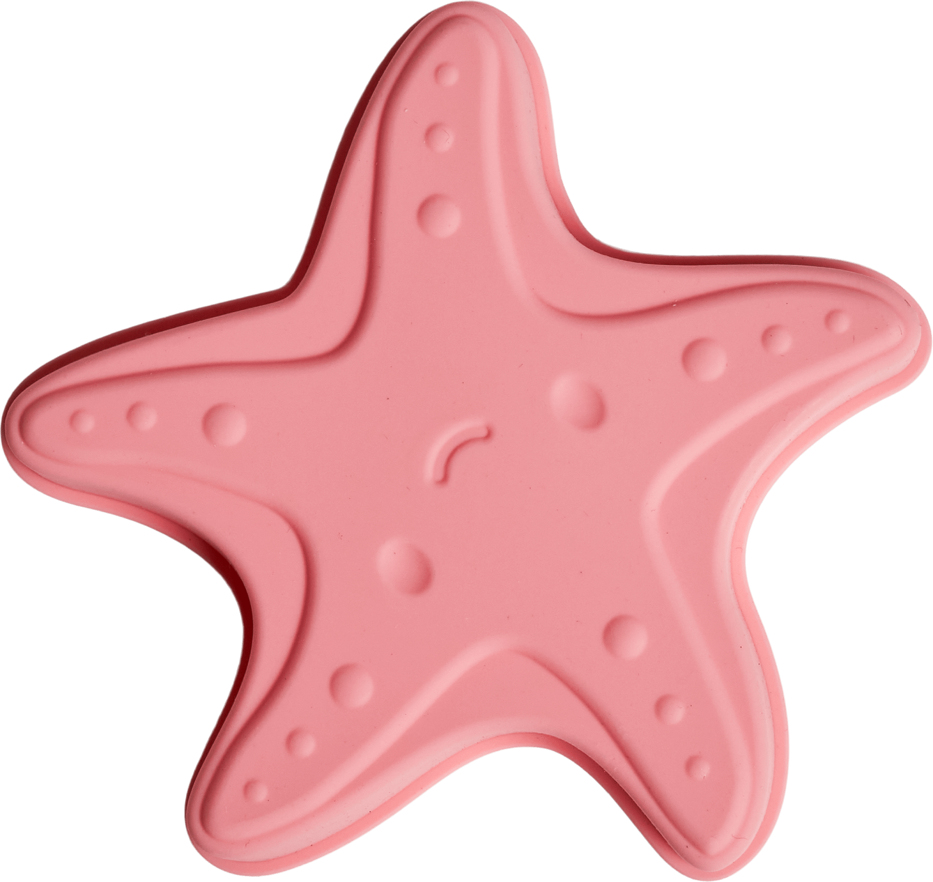 Sea Creatures Beach Toy Set