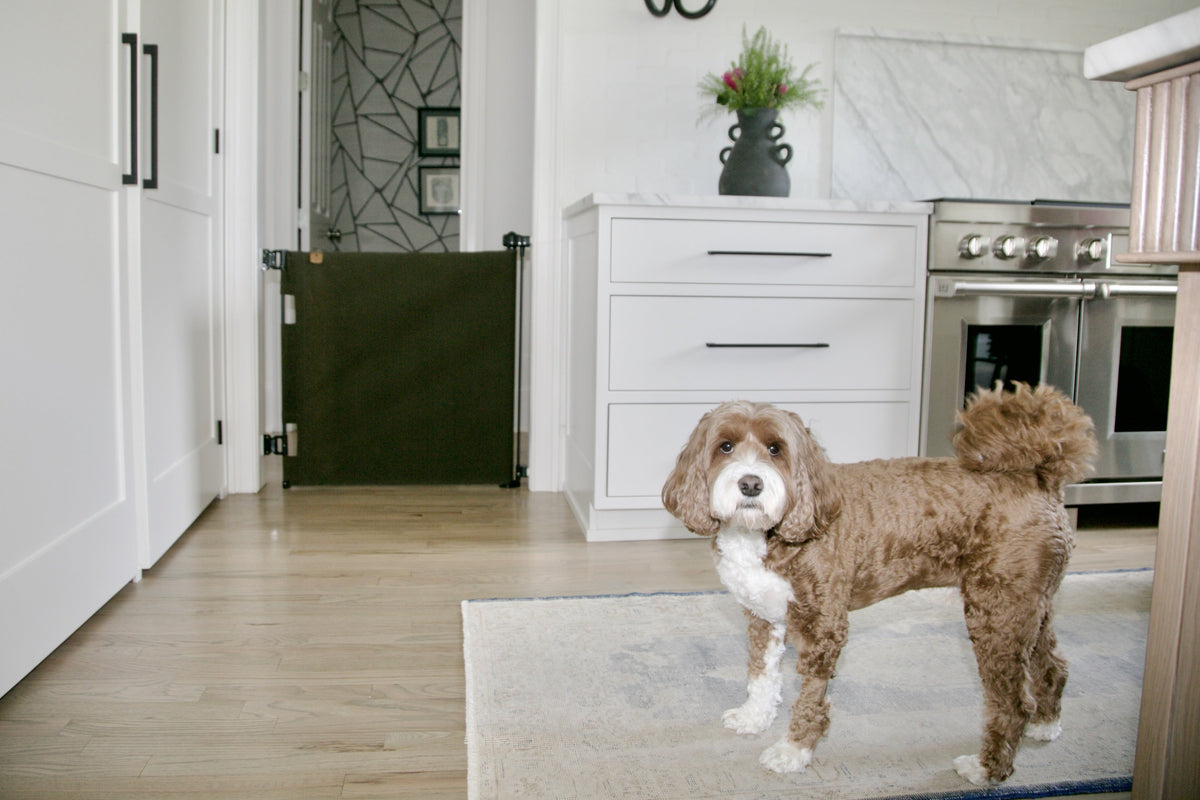 Oil Waxed Canvas Pet Safety Gate – Durable, Waterproof, Vintage-inspired | Fit Openings From 27.6" To 55" Wide And Stand 33"