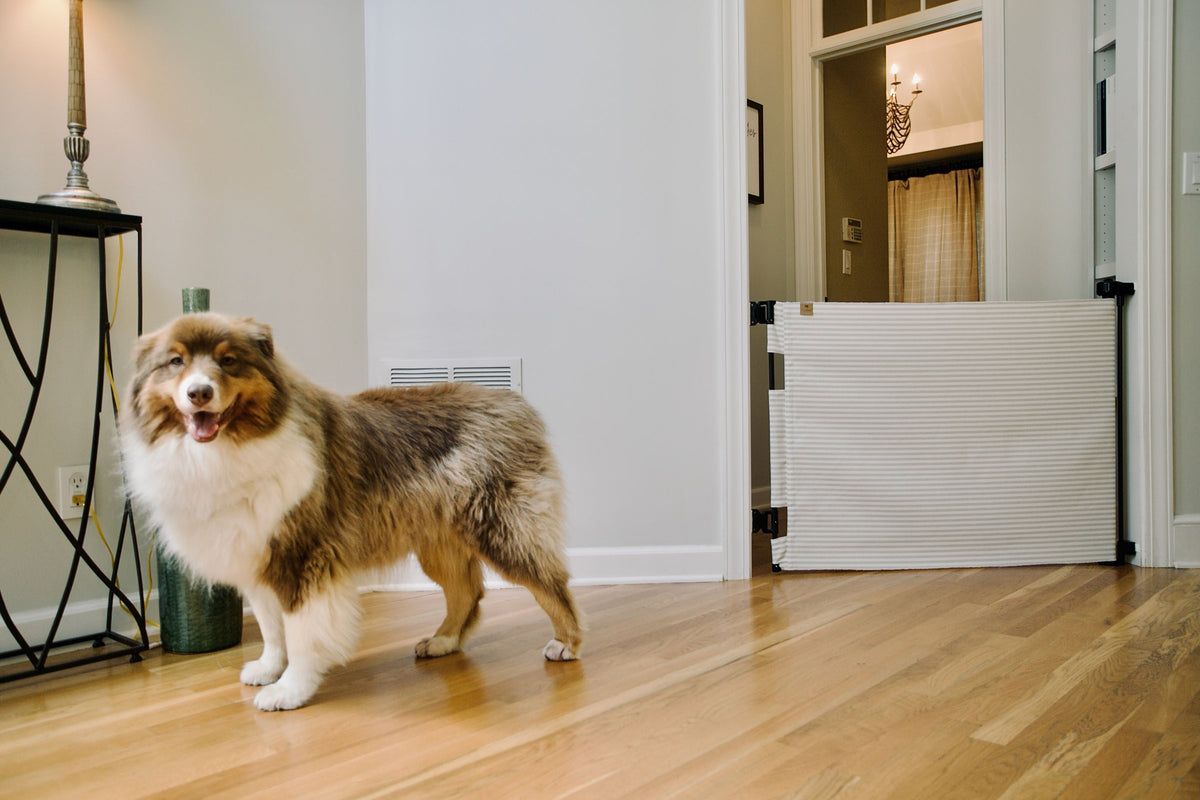 Milliken® Fabric Baby & Pet Safety Gate – Indoor/outdoor, Durable & Stylish | Fit Openings From 27.6" To 55" Wide And Stand 33"