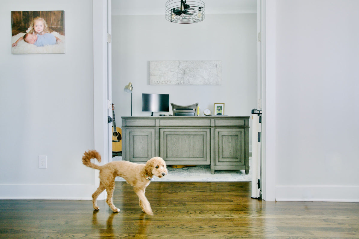 Milliken® Fabric Baby & Pet Safety Gate – Indoor/outdoor, Durable & Stylish | Fit Openings From 27.6" To 55" Wide And Stand 33"