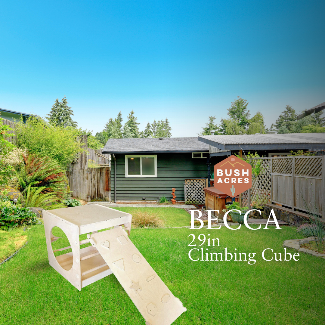 Becca- 29in Climbing Cube