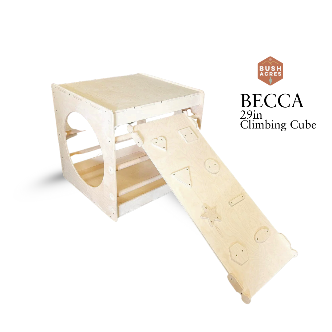 Becca- 29in Climbing Cube