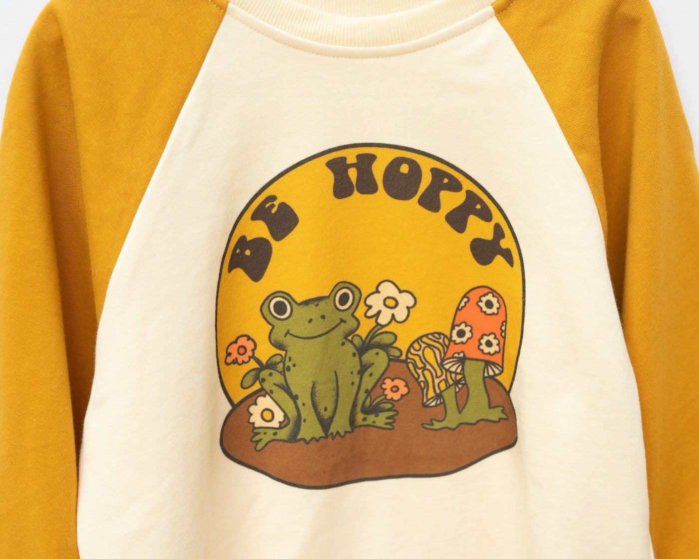 Retro Frog Kids Graphic Sweatshirt