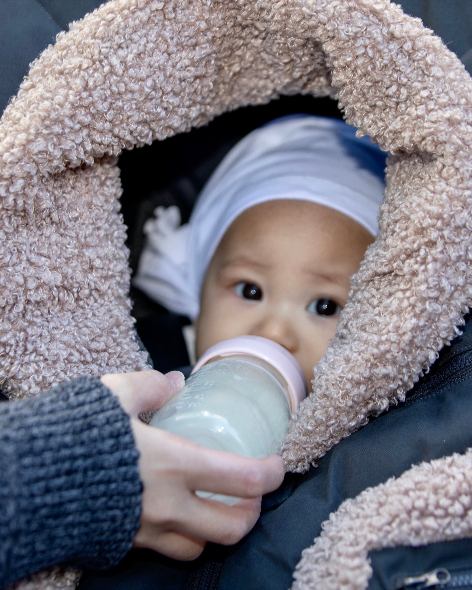 Car Seat Cocoon - Teddy Appliqué