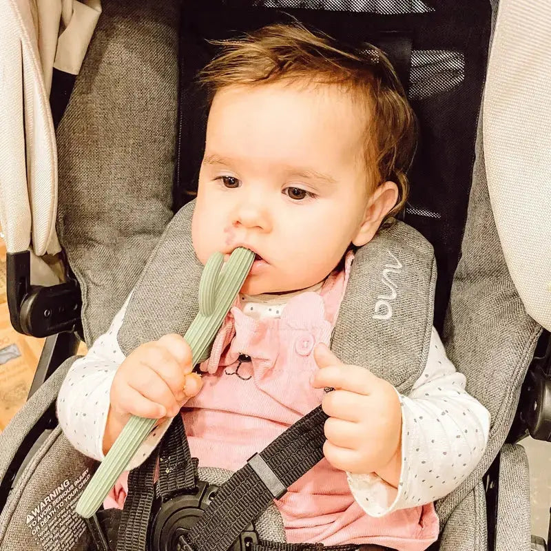Cactus Silicone Teether & Straw For Kids And Adults