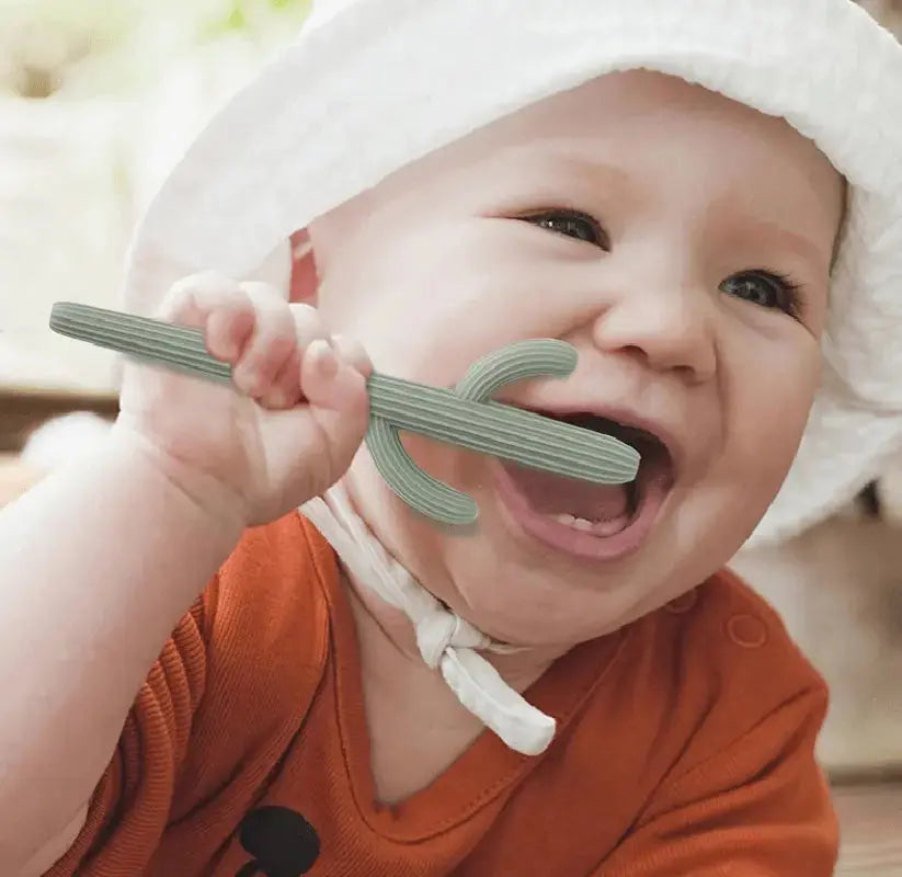 Cactus Silicone Teether & Straw For Kids And Adults