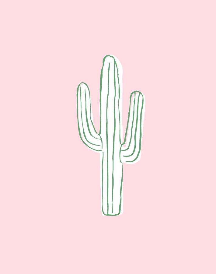 'cactus' Wallpaper By Tea Collection - Ballet Slipper