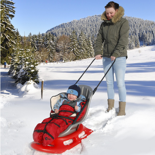 Snow Baby Fun Sled Stroller