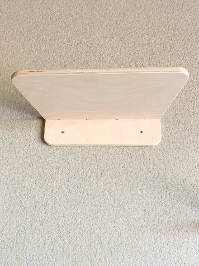 Kat- Cat Wall Climber