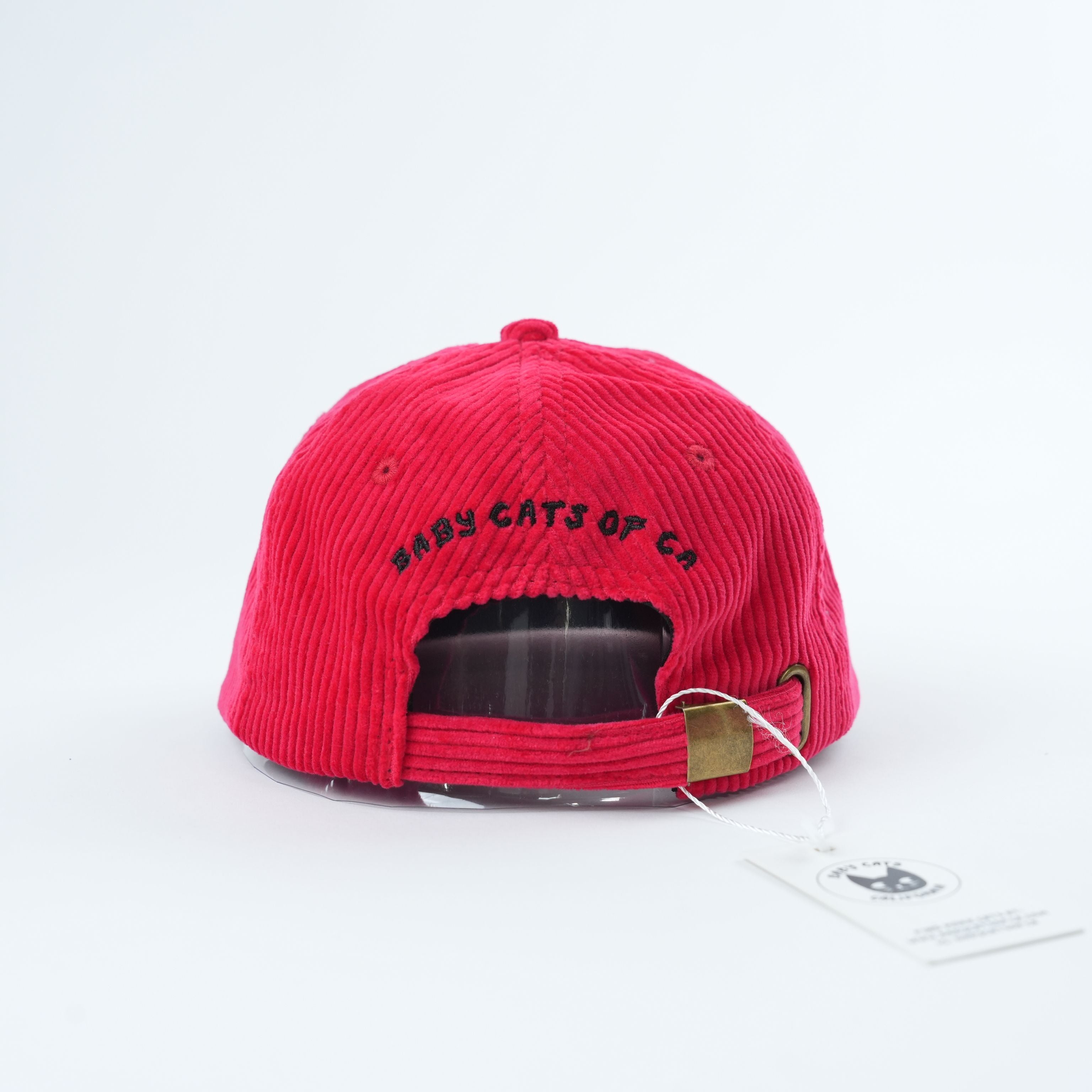 Adult Catsicle Corduroy Hat