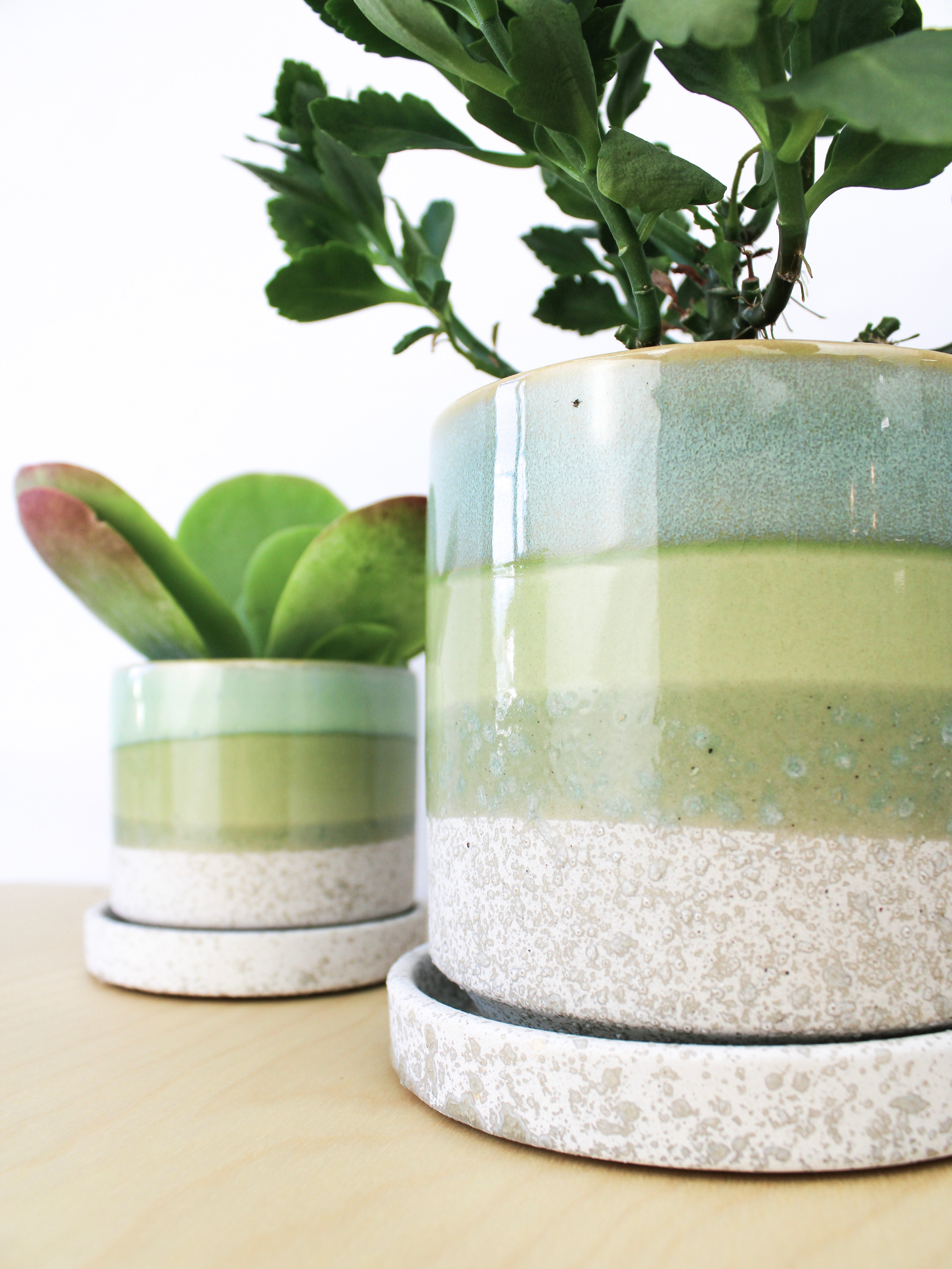 Cement Green Ceramic Plant Pot And Saucer