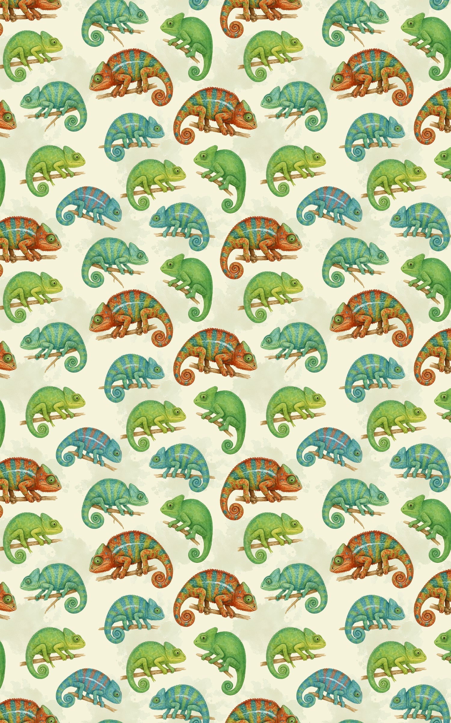 Chameleon Celebration