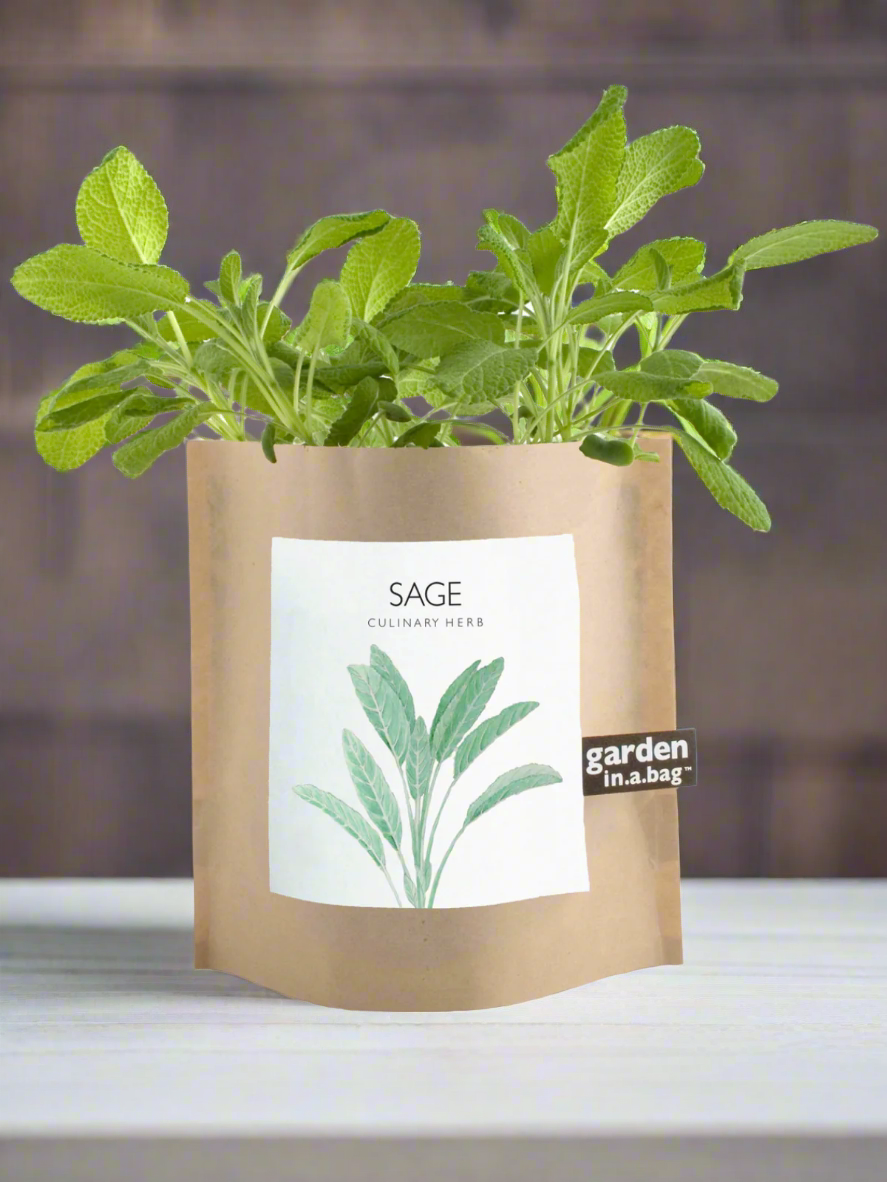 Garden In A Bag - Herbs