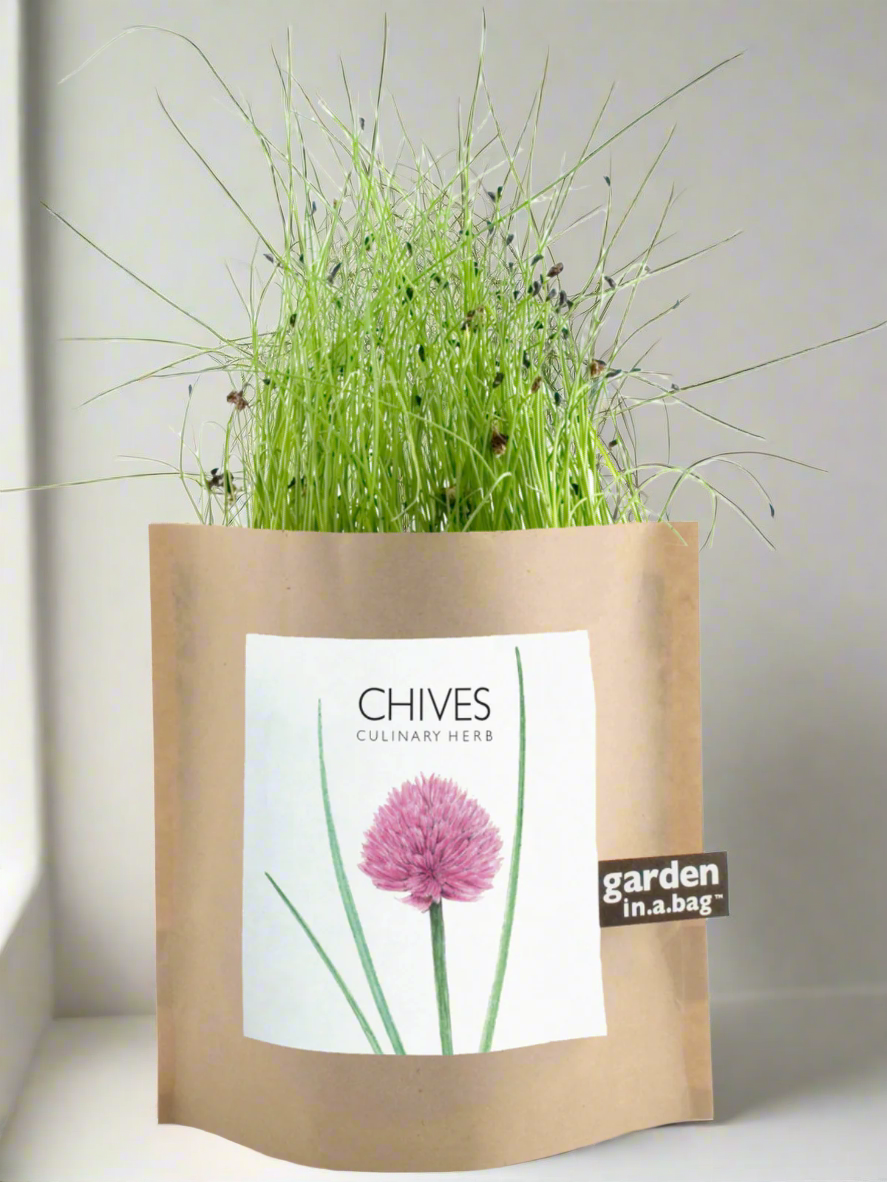 Garden In A Bag - Herbs