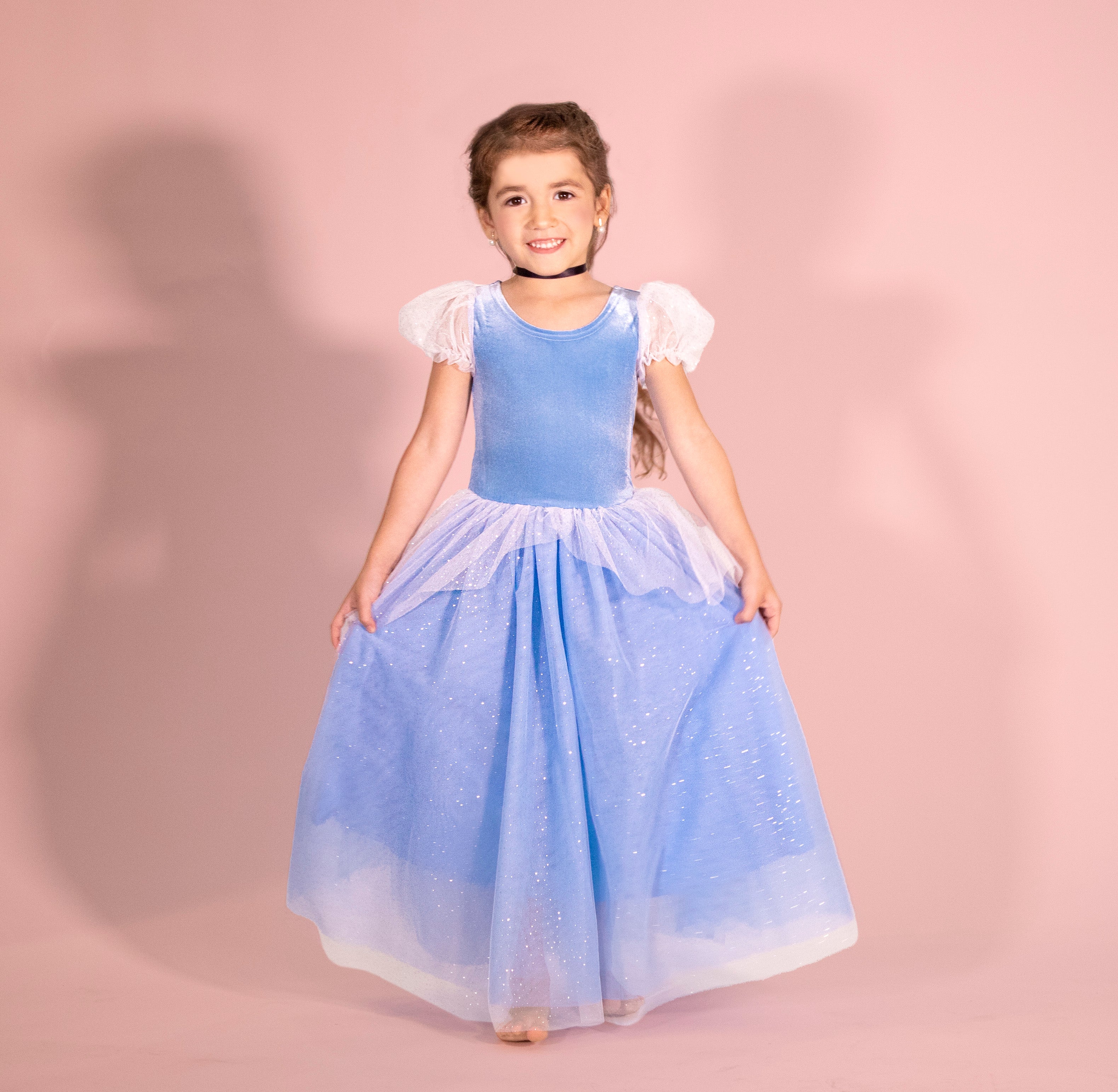 The Princess Cinderella Blue Costume Dress