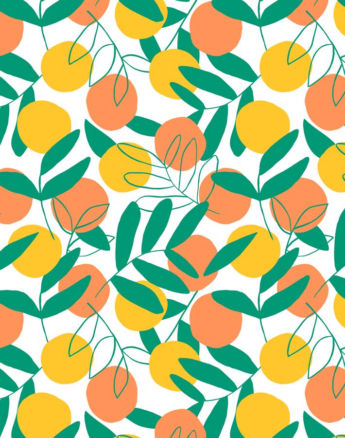 'citrus' Wallpaper By Tea Collection - Creamsicle