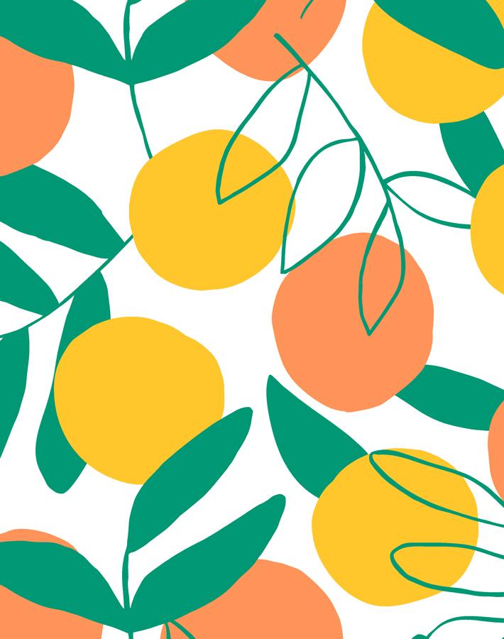 'citrus' Wallpaper By Tea Collection - Creamsicle