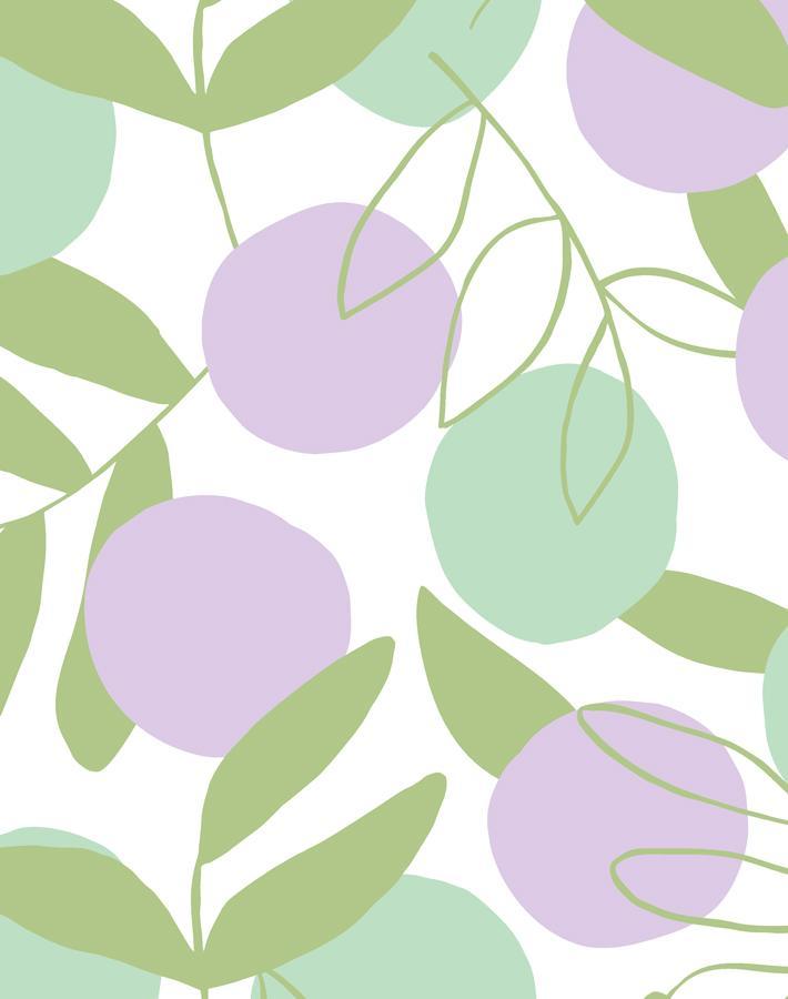 'citrus' Wallpaper By Tea Collection - Lavender