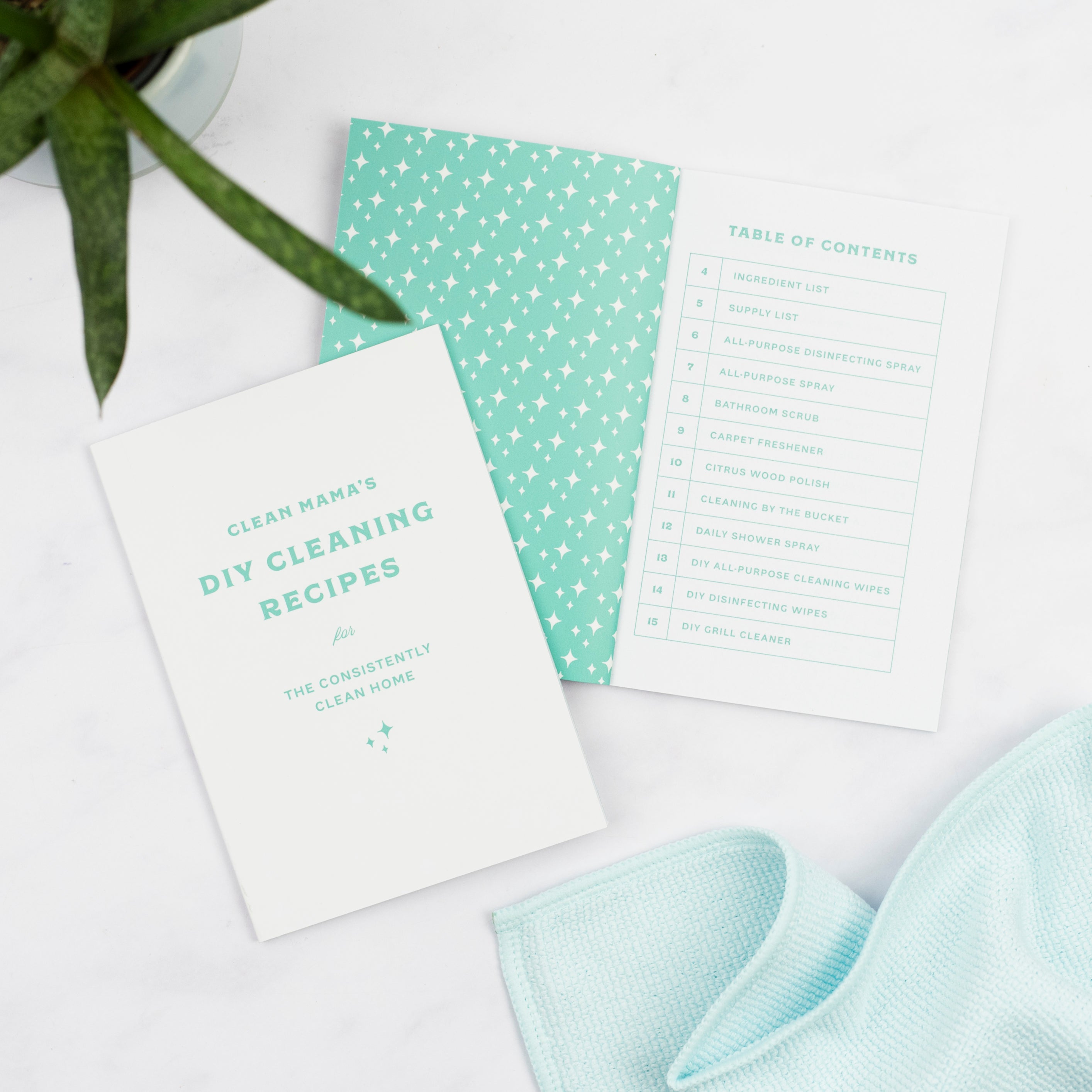 's Diy Cleaning Recipes Pocket Notebook