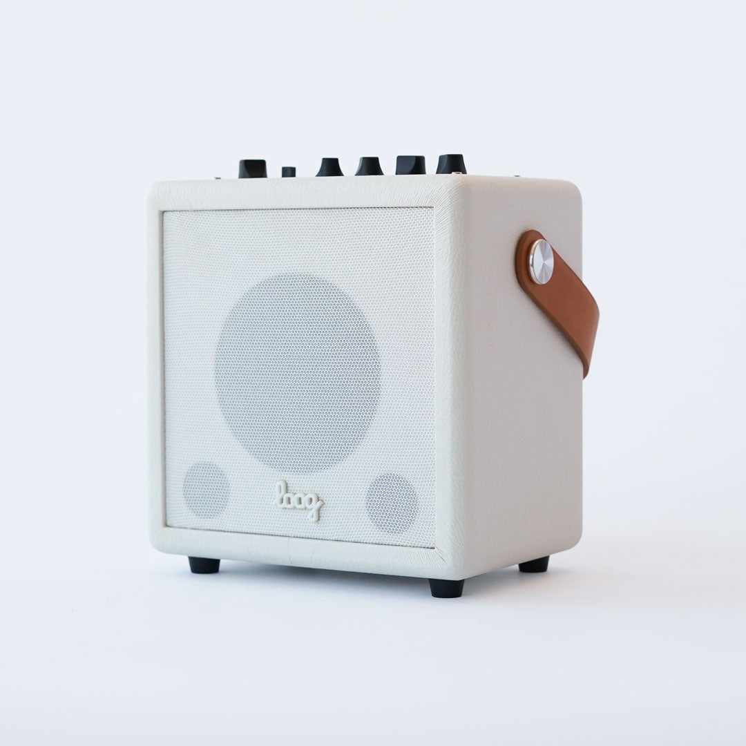 Loog Mini Amp Pro (collective)