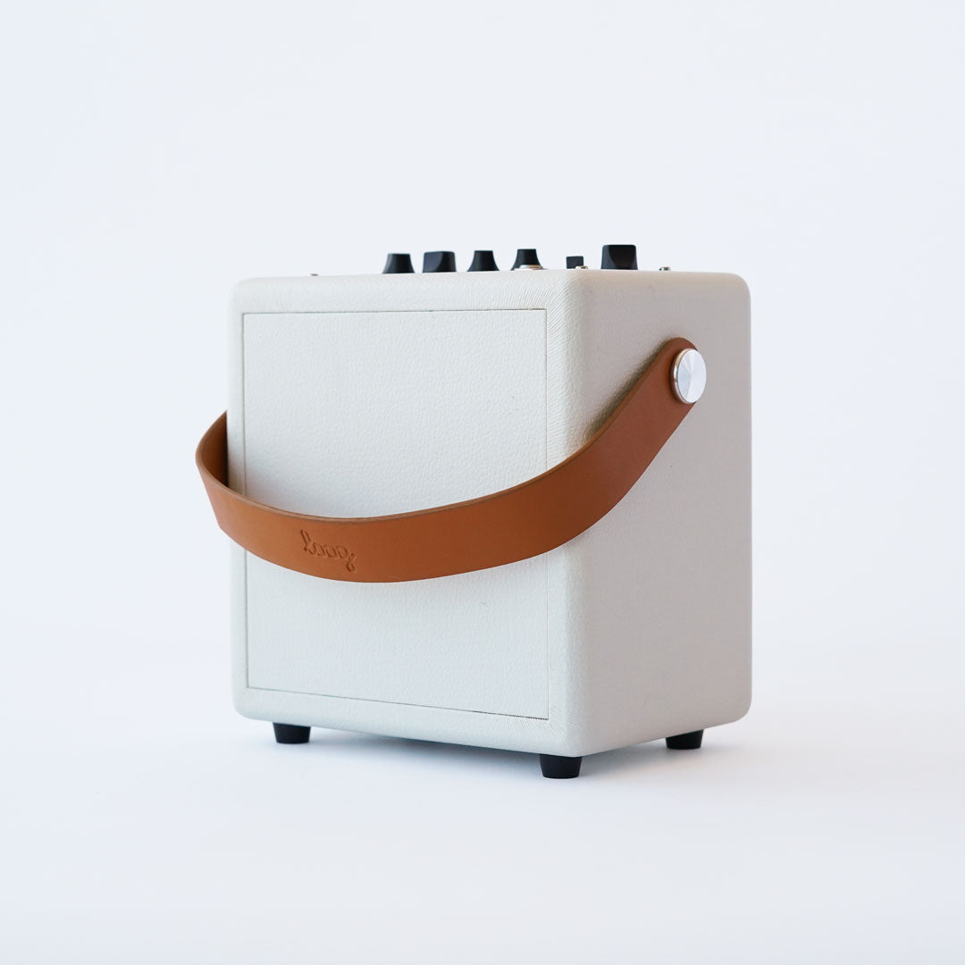 Loog Mini Amp Pro (collective)